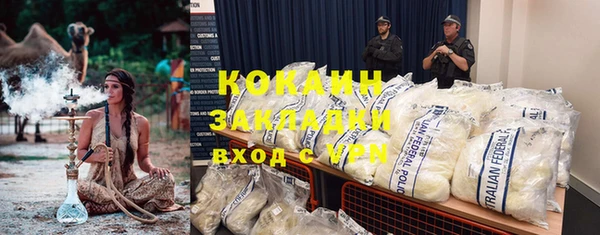 ПСИЛОЦИБИНОВЫЕ ГРИБЫ Осташков