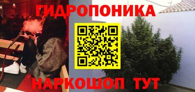 ПСИЛОЦИБИНОВЫЕ ГРИБЫ Будённовск