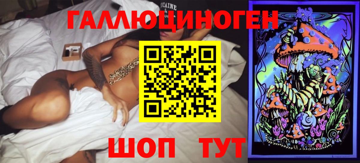 Галлюциногенные грибы Psilocybine cubensis Рассказово
