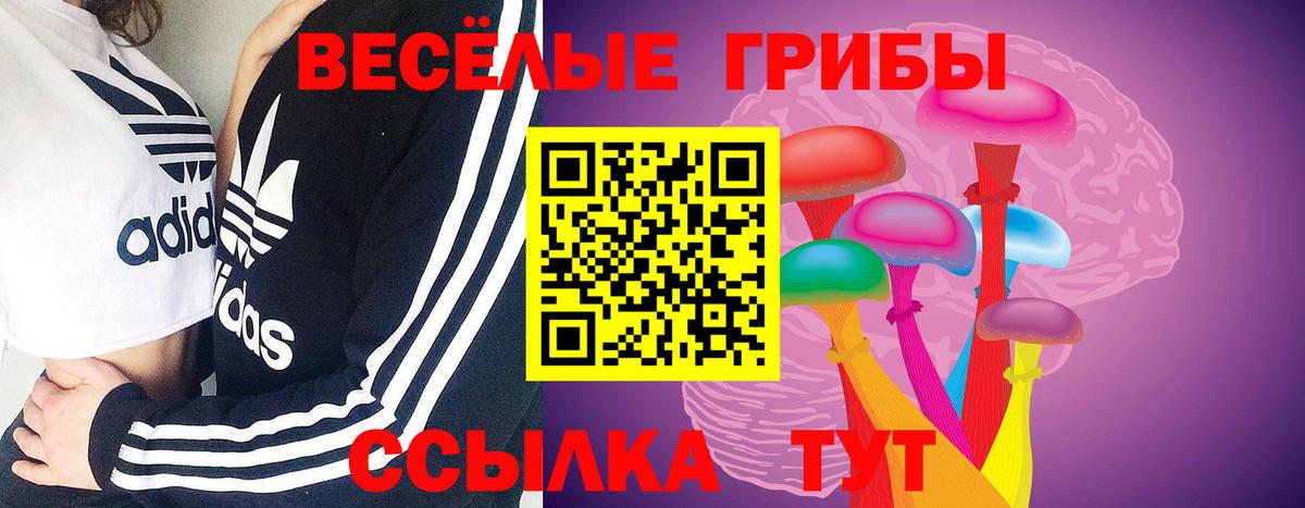 Рассказово  Псилоцибиновые грибы GOLDEN TEACHER  Вход с VPN  Галлюциногенные грибы MAGIC MUSHROOMS 